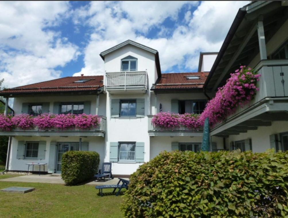Ferienwohnanlage Bruennstein Wohnung 54 Oberaudorf Bagian luar foto